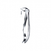 Extarcting Forceps 
